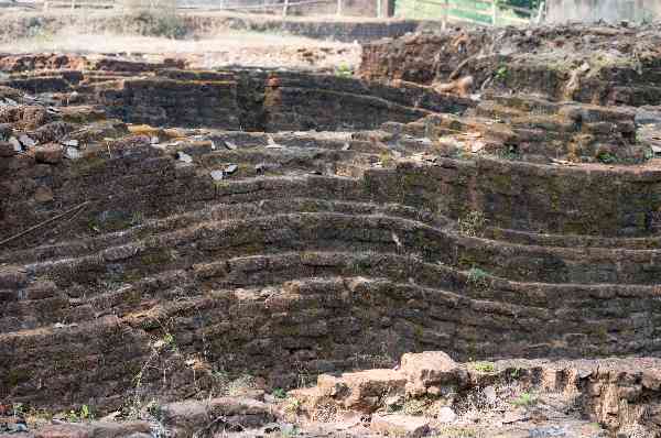 places near Moghalmari Bouddha Bihar, Moghalmari Excavation Site Road, Simulia Uttar Mongalmar, West Bengal, India