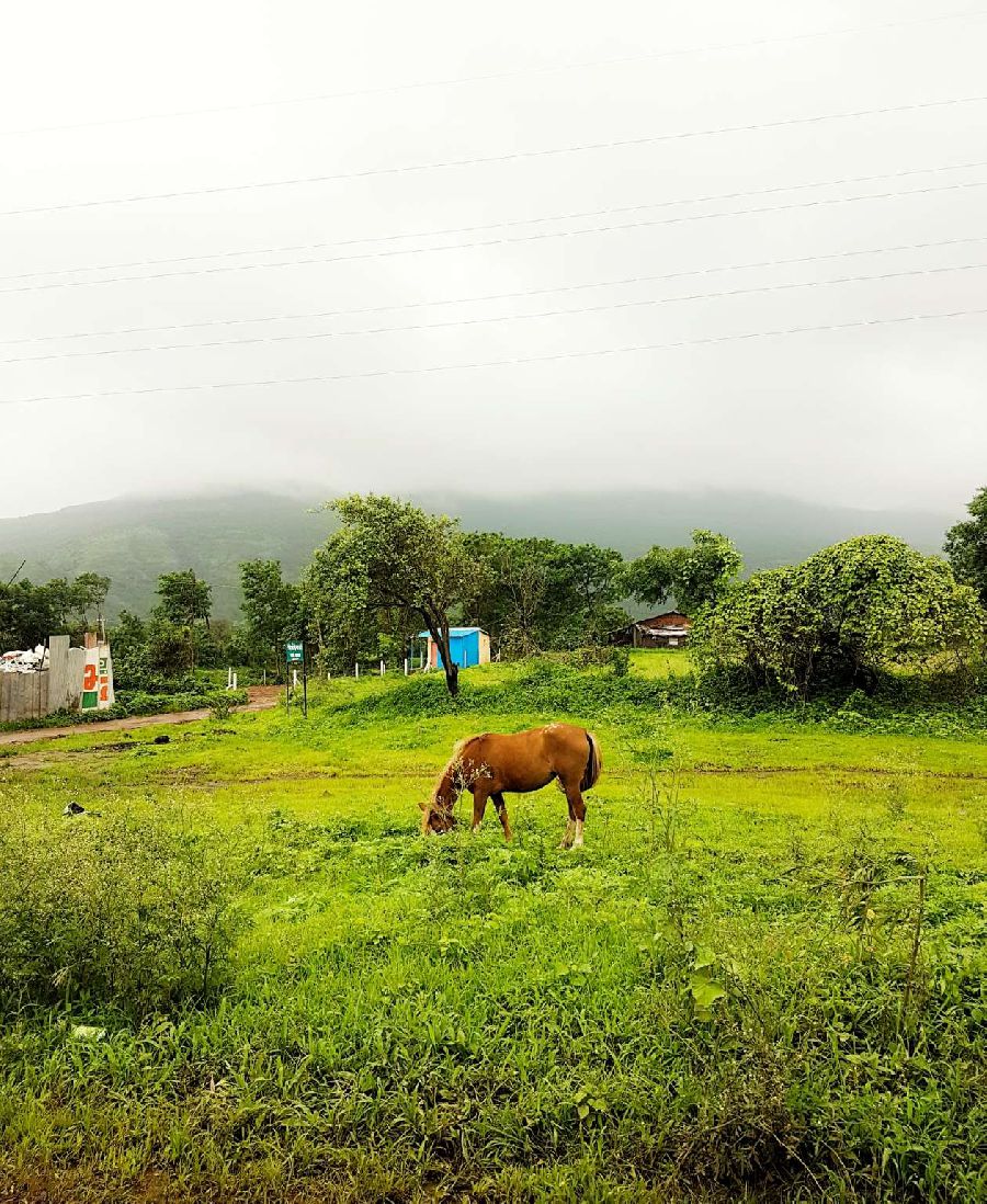 places near Thokarwadi Dam, Maharashtra