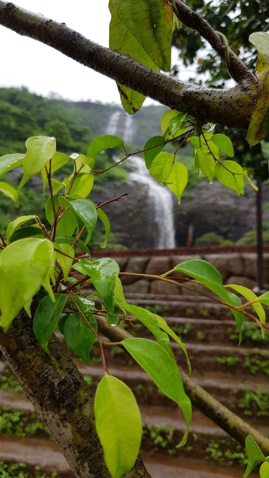 places near Thokarwadi Dam, Maharashtra